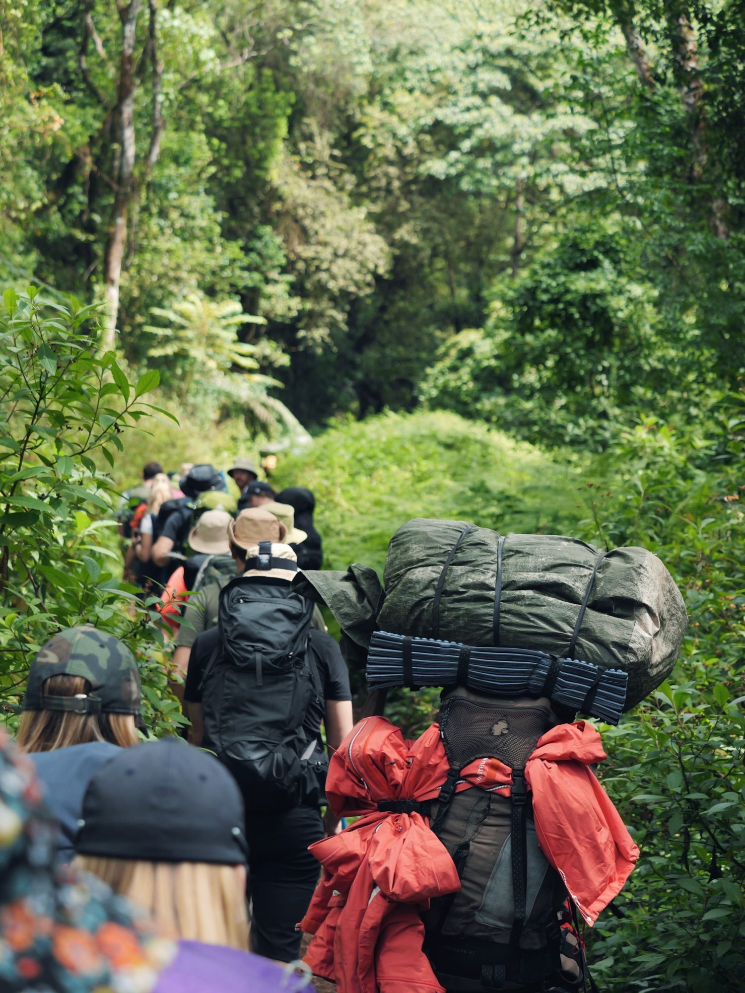 Iwannago Kilimanjaro Ryklame.